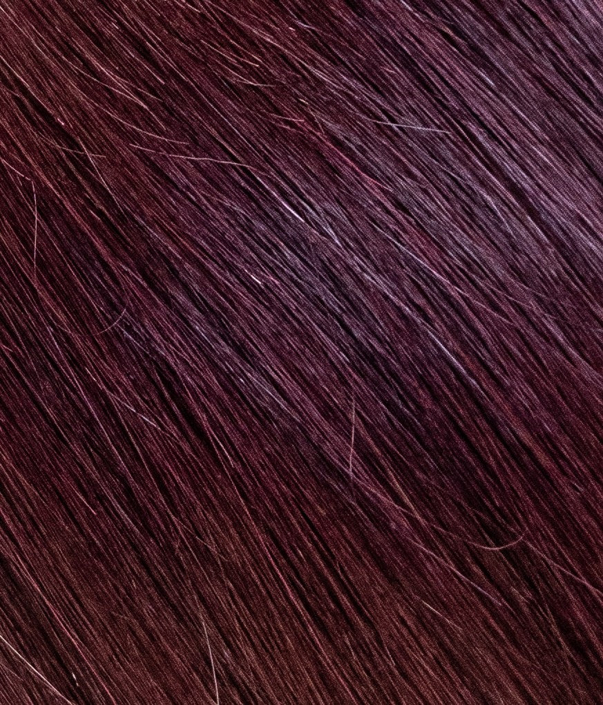 16-Inch 6x6 Lace Closure - European Virgin Remy Human Hair (Base & Mixed Colours)