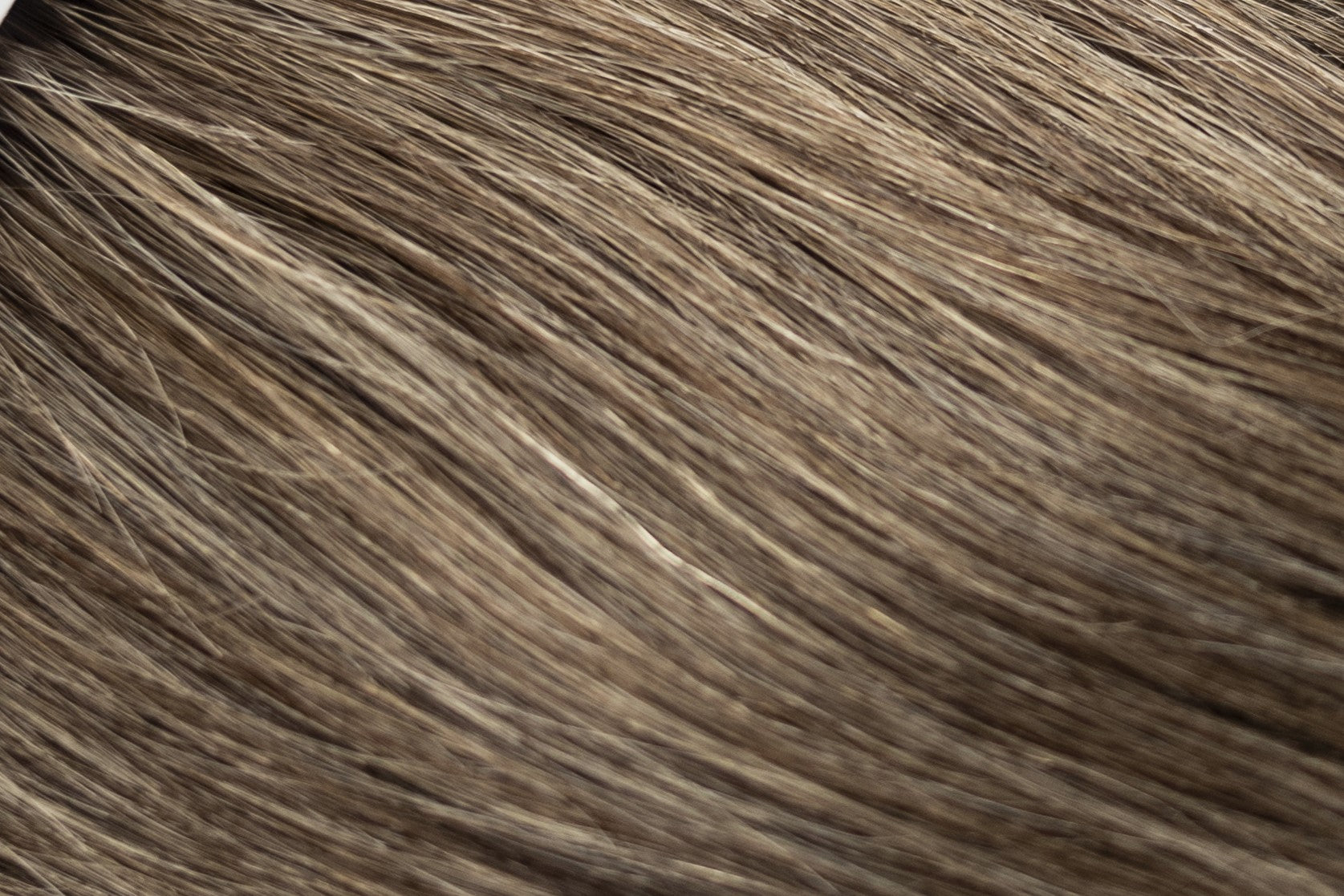 16-Inch 6x6 Lace Closure - European Virgin Remy Human Hair (Base & Mixed Colours)