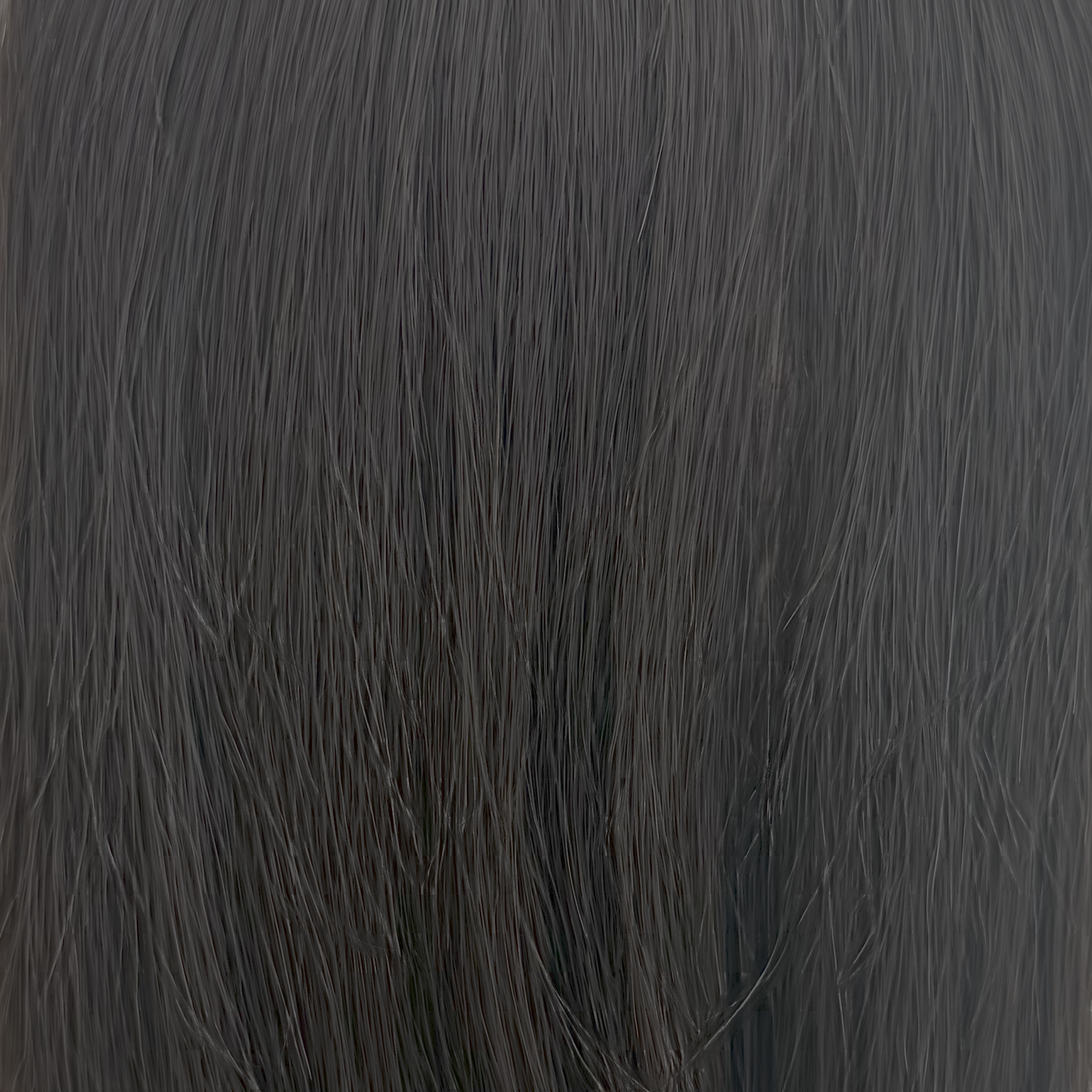 1b hair colour swatch
