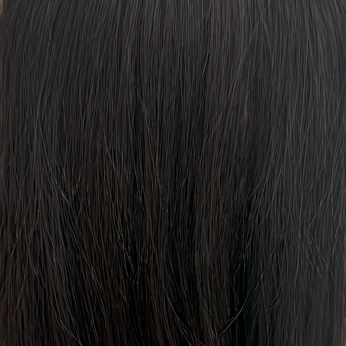 1b hair colour swatch