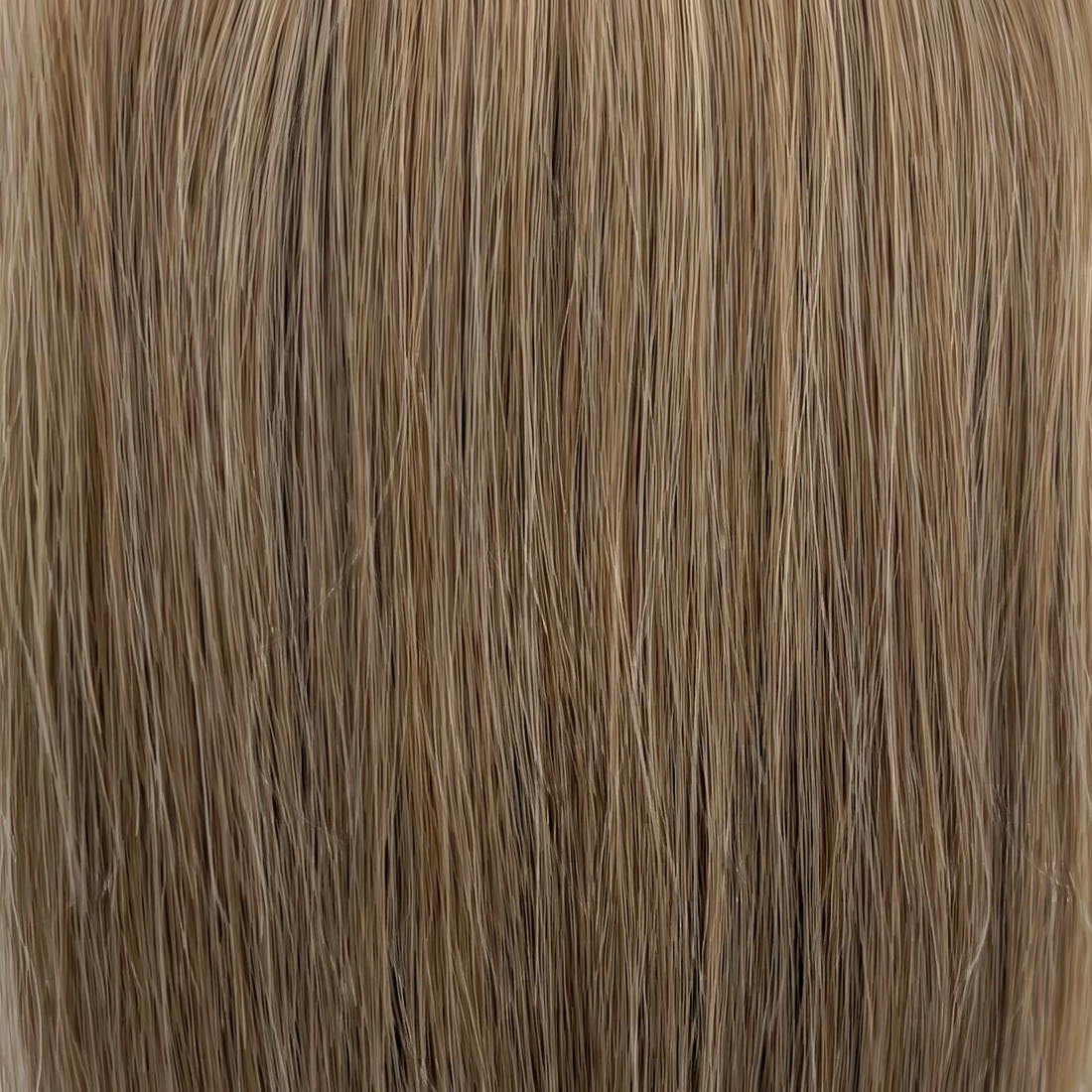 M8/24 (Honey) hair colour swatch