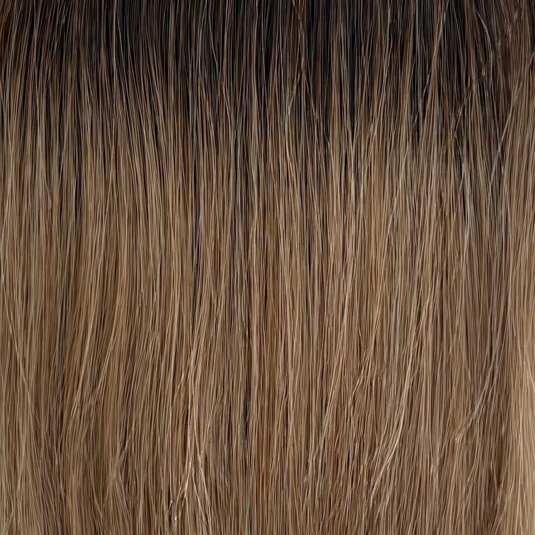 T4-M8/24 (Hazel) hair colour swatch