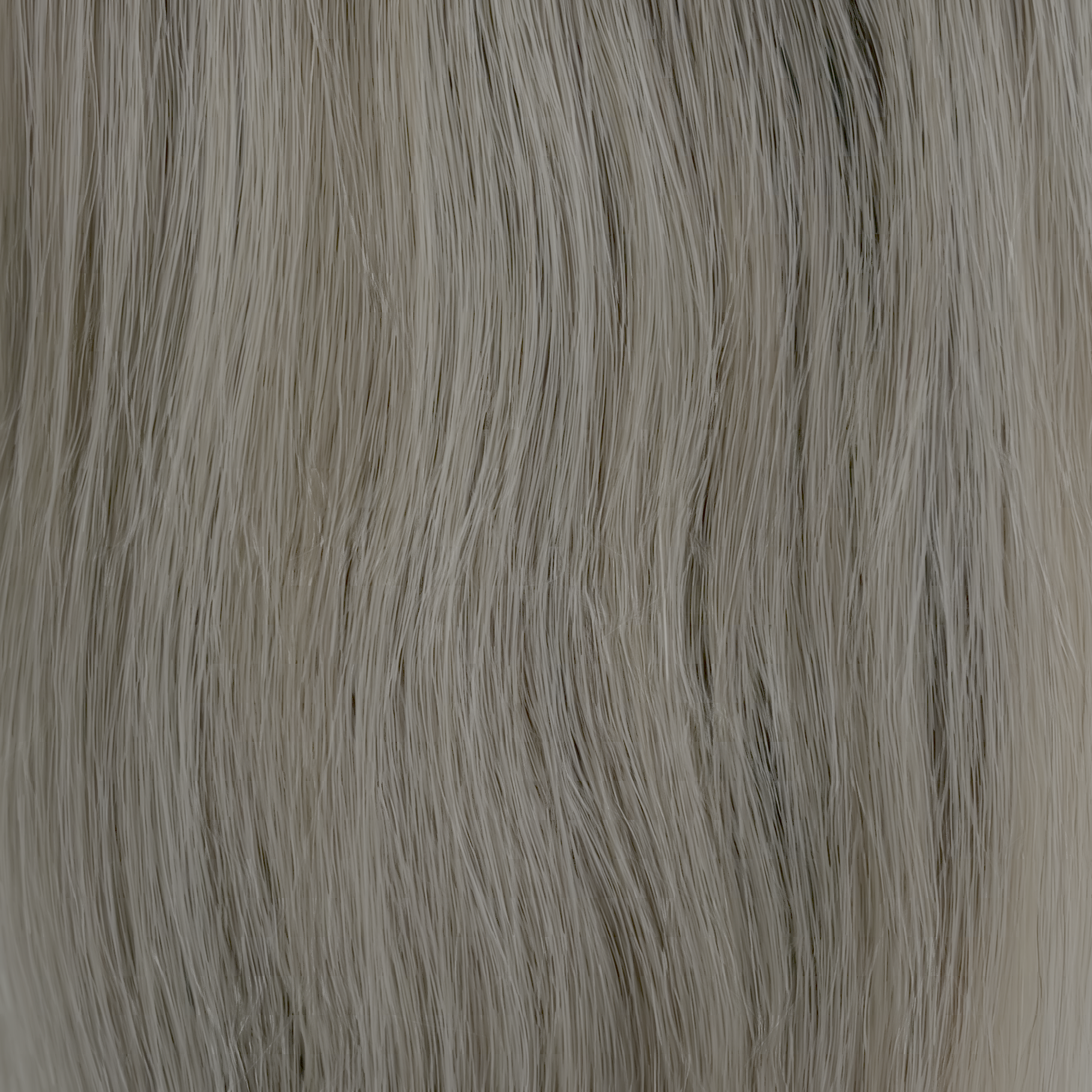 T-Ash Blonde (ASH BLONDE) hair colour swatch