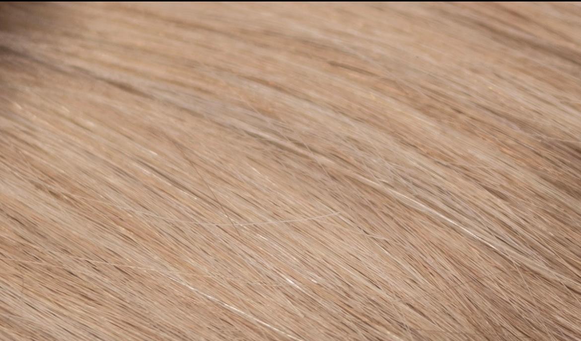 16-Inch 6x6 Lace Closure - European Virgin Remy Human Hair (Base & Mixed Colours)